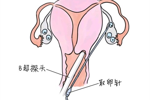 http://xuzhou.huochezhan.net/post/205.html|徐州供卵助孕