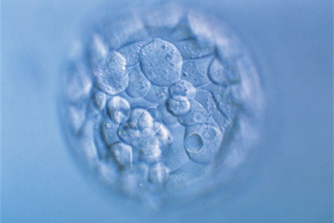 http://xuzhou.huochezhan.net/post/200.html|徐州新闻中心